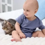Mačak nije hteo da propusti priču za laku noć: Ovo topi srca - raznežićete se