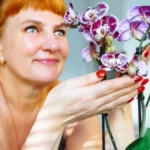 Moja orhideja cveta 12 godina bez prestanka! Pogledajte šta radim, uspeće i vama