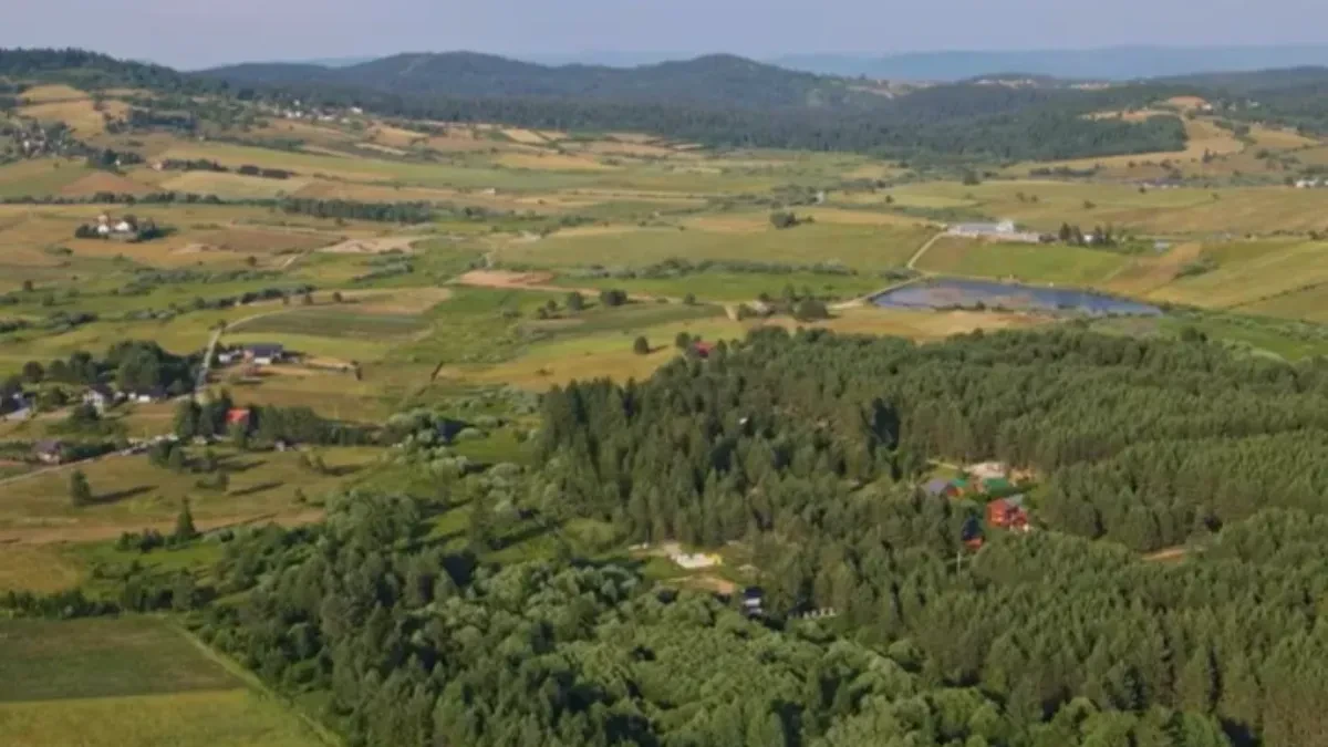 Našao je novčić na njivi detektorom: Nije ni slutio kakvo se bogatstvo još krije pod njegovim nogama