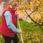 Ne skupljajte odmah svo lišće sa travnjaka: Od njega možete napraviti raj za baštu!
