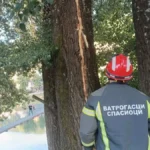 Požar izbio na Kalemegdanu: Gori na Donjem Kalemegdanu, vatrogasci gase vatru