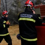 Požar na Novom Beogradu: Vatrogasci hitno intervenišu na terenu!