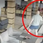 Prika likvidiran u Kumodražu: Uhapšen još jedan osumnjičeni posle ubistva, ovo je bila njegova uloga