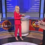 Razvela se voditeljka