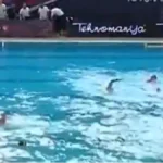 Sevale pesnice! Tuča na kraju meča Partizan - Novi Beograd (VIDEO)