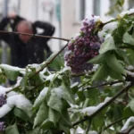 Sneg ne prestaje da veje u ovom delu Srbije: Objavljena nova vremenska prognoza, evo gde će još padati