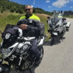 Stotine vozača prošle su pored iznemoglog supa, samo je Muamer stao: Policajac heroj spasao pticu kod Priboja