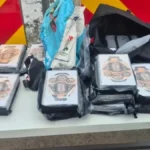 Velika zaplena na Bezdanu: Uhapšen vozač kamiona (57), evo šta su kod njega pronašli pripadnici granične policije (FOTO)