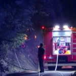 Veliki požar kod Lučana: Gorela šuma i rastinje, vatrogasci i meštani obuzdali vatru