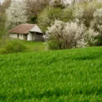 Vikendica zaključana godina, a obaveze stižu - vlasnici često zaborave na jednu stvar, a dug se gomila