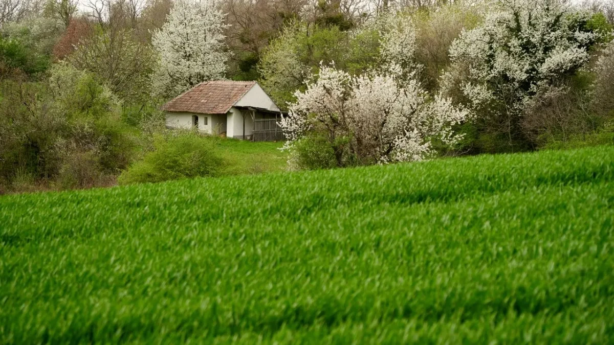 Vikendica zaključana godina, a obaveze stižu - vlasnici često zaborave na jednu stvar, a dug se gomila