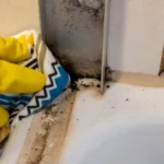 Za manje od 200 dinara izbelite fuge, biće kao nove: Jedan prirodni sastojak razara crnu buđ, svaka kuća mora da ga ima