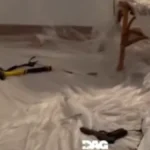 Zastrašujući grmalji od dva metra, pretili čak čuvarima: Evo ko su srpski državljani uhapšeni u kući strave u Španiji