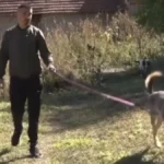 Aleksandar iz Štrpca pomislio da je našao štene, a onda se desilo neočekivano: