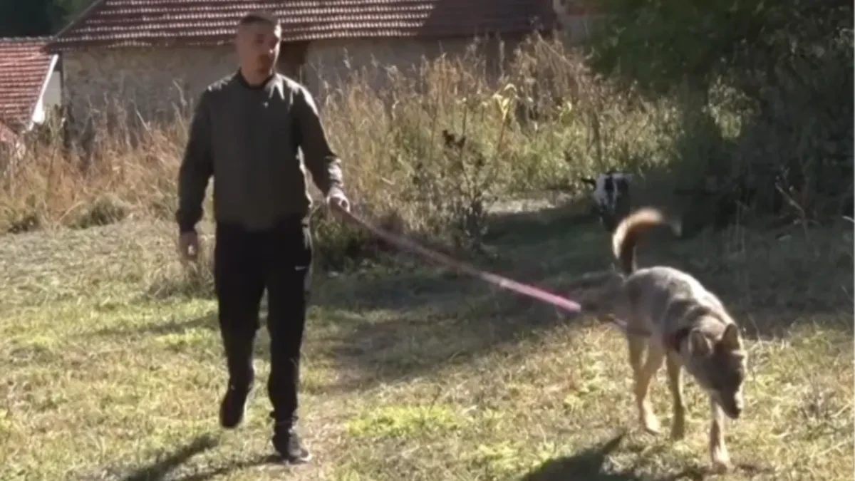 Aleksandar iz Štrpca pomislio da je našao štene, a onda se desilo neočekivano: