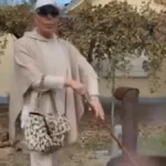 Boki 13 meša ajvar sa Šanel torbom od 10.000 evra! Šokirao sve objavom