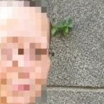 Horor kod Novog Bečeja: Raskomadana doktorka prolazila kroz torturu? Evo šta je pronađeno kod sina
