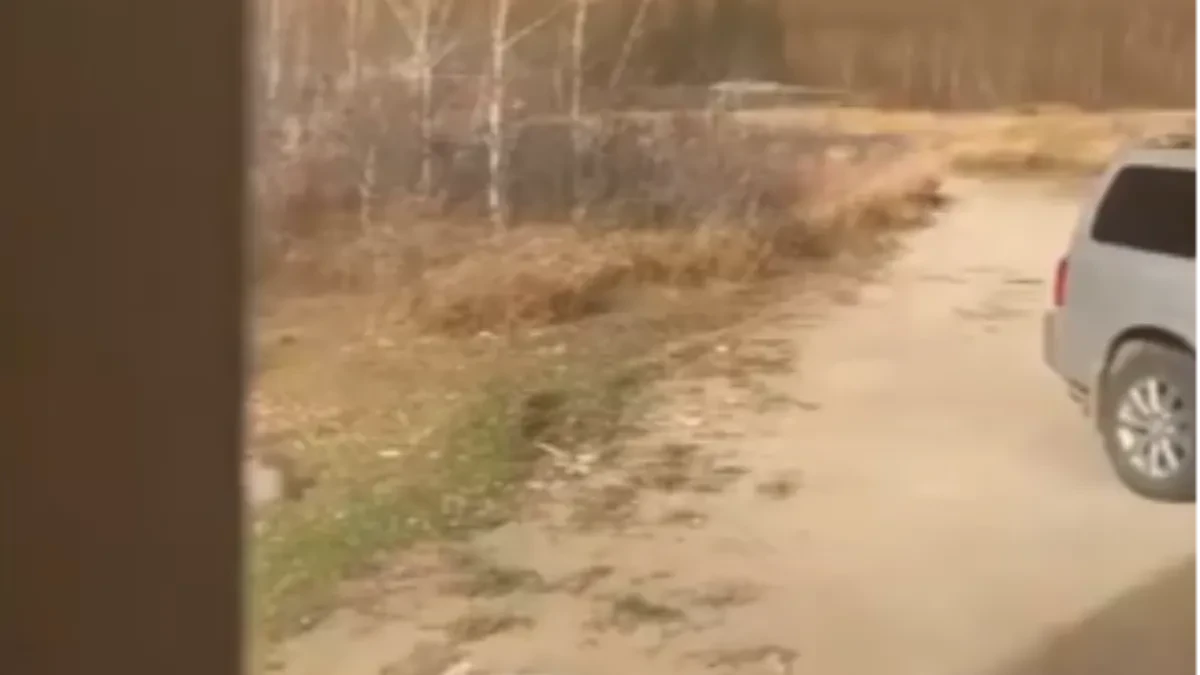 Horor u vojnoj bazi, aktiviran