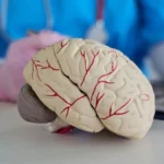 Kako da sačuvate zdravlje mozga i pamćenje? Neurološkinja otkriva 3 navike koje prave veliku razliku