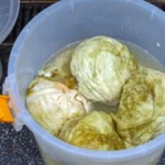 Koliko soli staviti na 10 l vode za kiseli kupus: Evo prave količine za odličan rasol