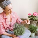 Lavanda teško preživljava zimu ako napravite ove greške: 5 trikova baštovana koji čuvaju biljku od propadanja