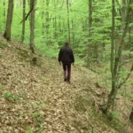 Legenda i dalje živi: Da li je blago Nemanjića skriveno u pećini u selu Ostra, mnogi su pokušali da ga pronađu - a neki se nisu ni vratili kući