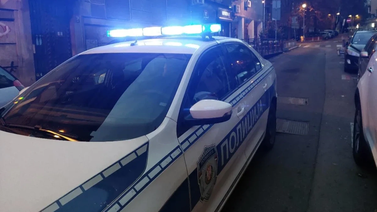 Majka prijavila otmicu ćerke, a devojčica šokirala policajce: