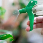 Naprskajte samo malo sirćeta: Tako ćete rešiti dosadan problem u dvorištu