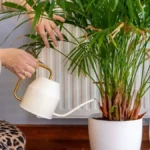 Osušeno cveće vratim u život za 2 dana: Sipam malo ovog rastvora i brzo se oporavi!