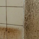 Otapa i onu najgoru masnoću, skida sve kao od šale: Kako očistiti kuhinjske pločice, biće kao nove