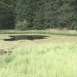 Ovo jezero u Srbiji nema obale: Jeziva legenda kaže da su u njega upali svatovi i utopili se