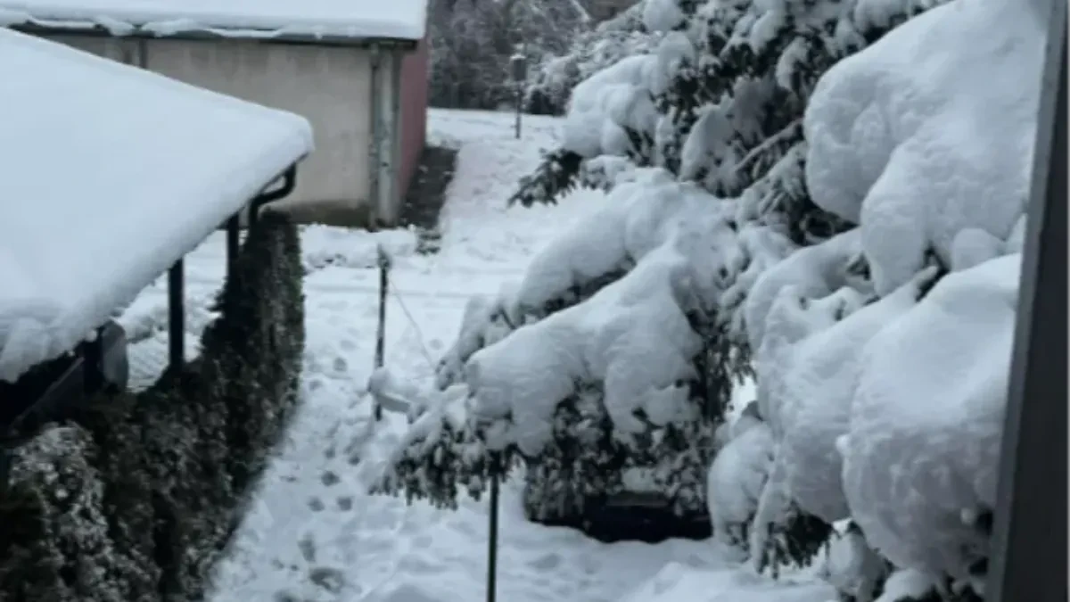 Ovog dana stiže sneg u Beograd: Prvo +26, a onda će da se zabeli
