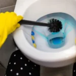 "Pa očistila sam je pre tri dana, odakle sad opet ovo?" Kako trajno ukloniti žutilo iz WC šolje