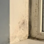 Pojavila vam se crna buđ u ćošku? Ovo iz kuhinje od 50 dinara razara spore za 15 minuta