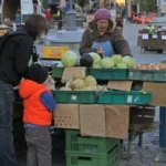 Prepoznajte kupus pun hemije: 3 znaka otkrivaju da nije dobar za kiseljenje