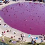 Ružičasto jezero u Srbiji privlači penzionere: Kupanje košta samo 500 dinara