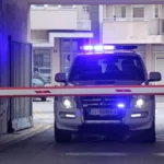 Spasili mu život, a on ih zverski pobio: Masakr u Novom Sadu