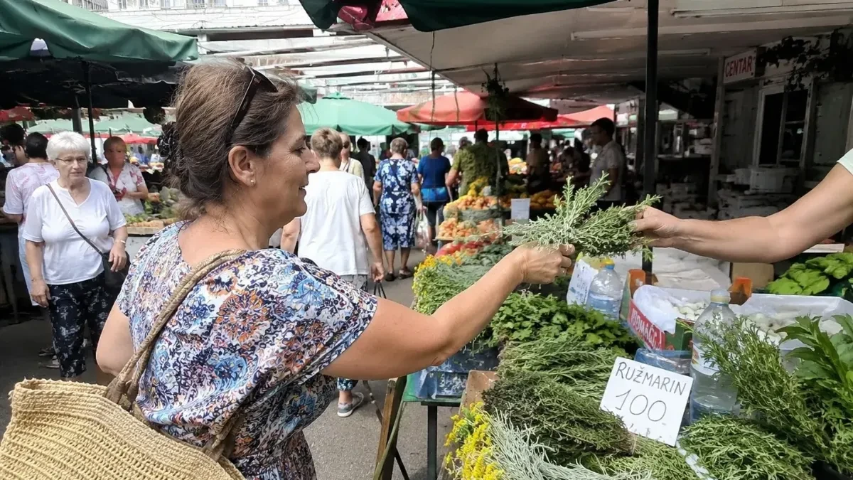 Srbi su ruzmarin držali blizu sebe, a danas ga proučavaju i naučnici: Njegov miris se povezuje sa boljim pamćenjem