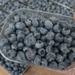 Stalno jedete borovnice? Evo kako ovo voće utiče na vaše zdravlje
