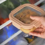 Treba li ostaviti hranu da se ohladi pre stavljanja u frižider? Sada konačno imamo odgovor