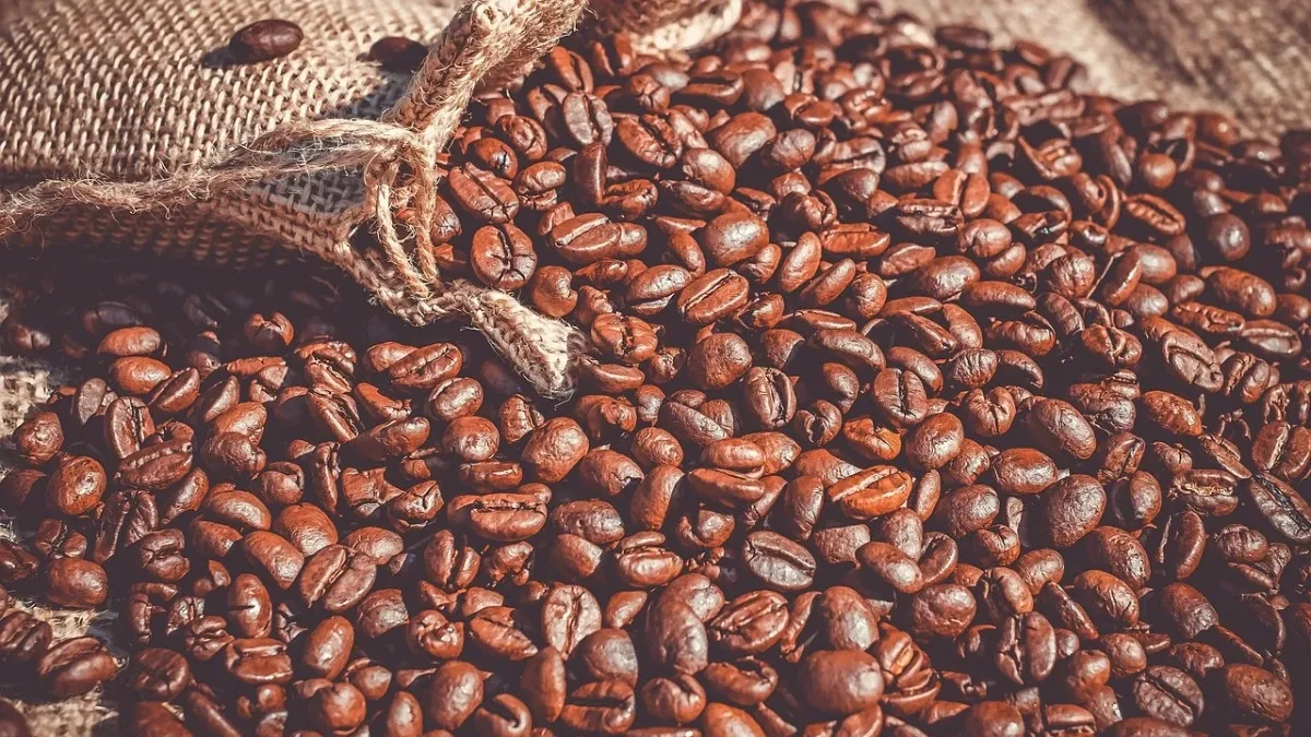U poslednjih deset godina Evropa udvostručila uvoz kafe - samo u prošloj godini uvezla 2,9 miliona tona
