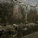 Vraća se u upotrebu stara fora za vlagu u podrumu: Ovako su naše bake i deke rešavali smrad!